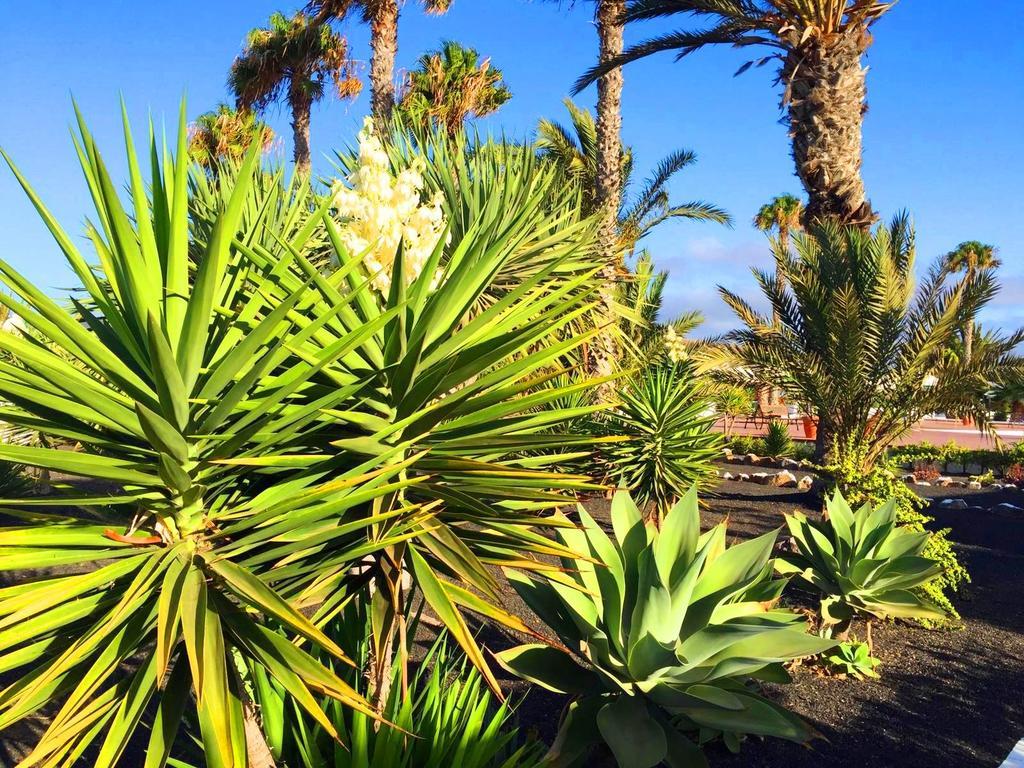 Willa Casita Blanca, Jardin Del Sol 1 Playa Blanca  Zewnętrze zdjęcie